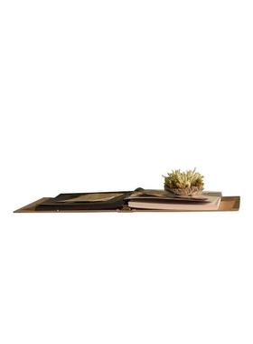 现代标本主题永生花植物软装饰品 样板房儿童房书桌陈设摆件组合