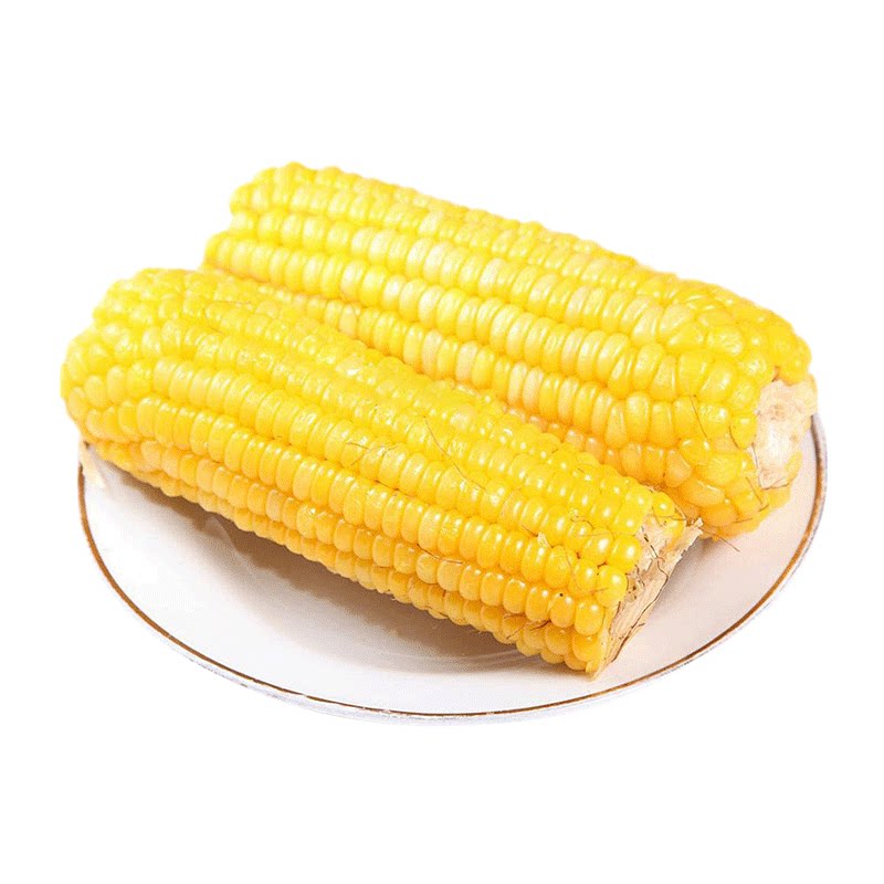2024东北新黄糯玉米新鲜糯玉米棒甜玉米真空包装软糯香甜代餐苞米
