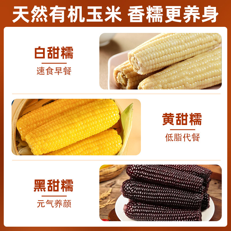 黄糯玉米东北黄糯玉米新鲜真空包装粘玉米棒子新玉米粗粮代餐苞米