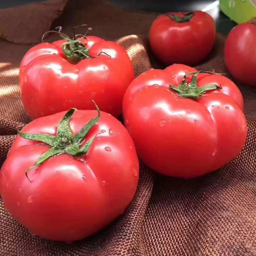 普罗旺斯西红柿新鲜自然熟5斤水果西红柿沙瓤农家蔬菜大番茄生吃,淘宝优惠券,粉丝福利购,淘宝优惠卷