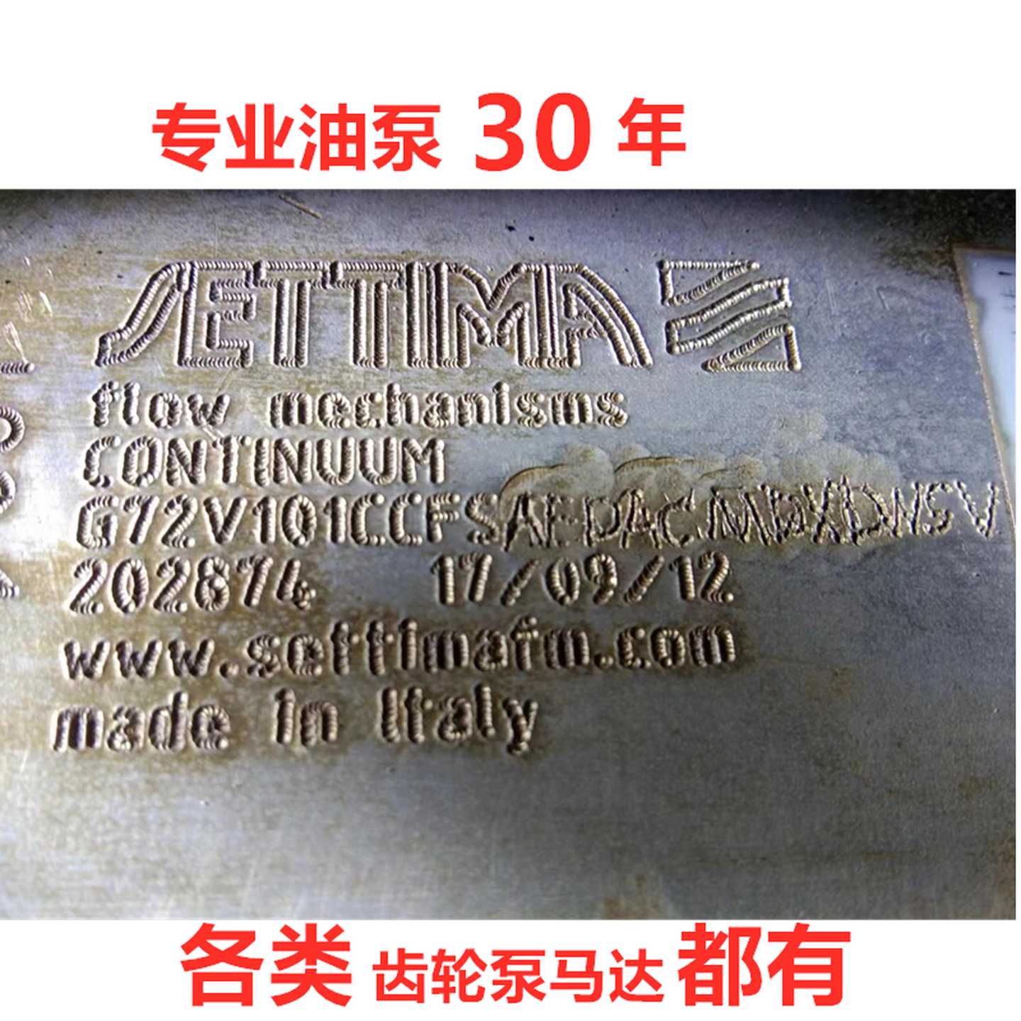 意大利ettima螺杆泵G47V050FSAEBT130DLV G55V075FSAEBT150D - 图0