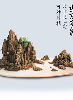 天然吸水石上水石假山盆景真石头水秀石鱼缸造景山水摆件装饰礼品