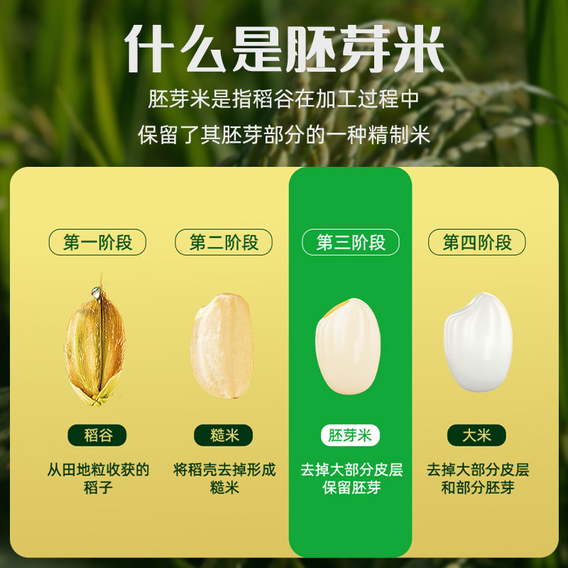 2025新米十月稻田大米生态胚芽米2.5kg东北大米香米保留胚芽真空,淘宝优惠券,粉丝福利购,淘宝优惠卷