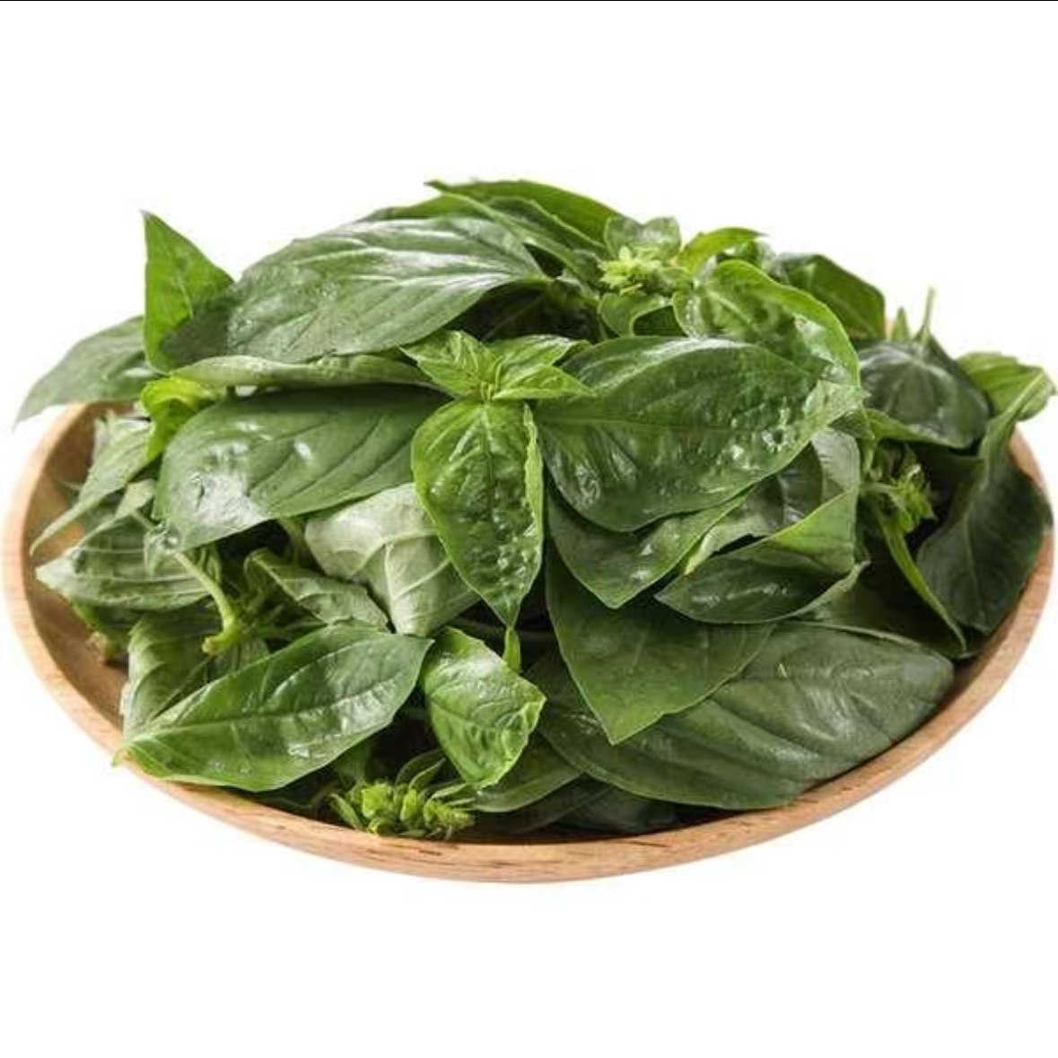 罗勒叶新鲜食用青酱制作大叶罗勒西餐食材摆盘装饰调料香料菜,淘宝优惠券,粉丝福利购,淘宝优惠卷