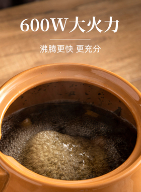 百草堂600W大功率煎药壶文武火