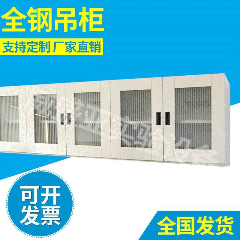 实验室全钢吊柜全木壁挂式储物柜PP耐酸碱收纳柜玻璃可视柜置物架,淘宝优惠券,粉丝福利购,淘宝优惠卷