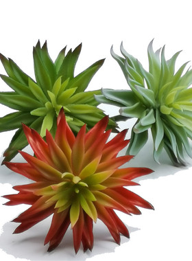 仿真多肉植物 仿真植物墙配材菊叶花头 创意微景观多肉组合盆栽