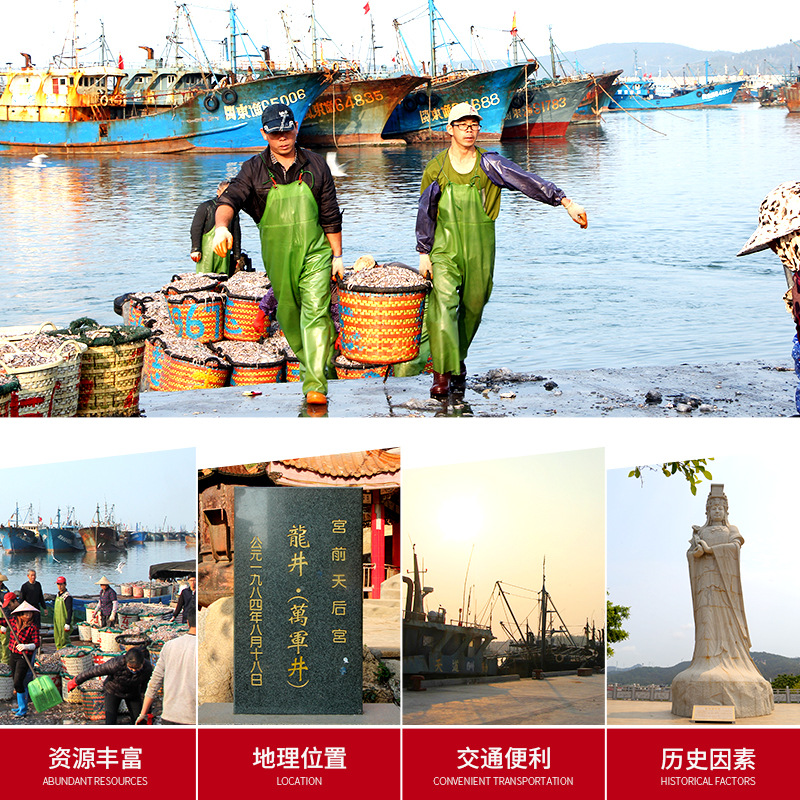 海鲜干货礼盒墨鱼干红娘鱼六种组合团购礼品特产高性价比选择 - 图2