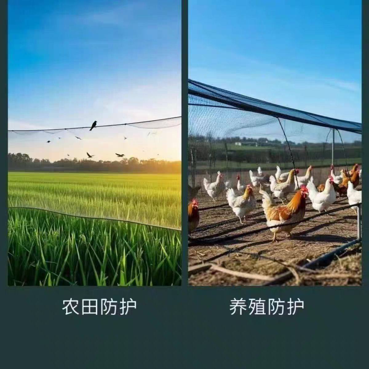 果园防鸟网护栏网围栏养殖防鸟专用网菜地防鸟大棚养殖防护网围网,淘宝优惠券,粉丝福利购,淘宝优惠卷