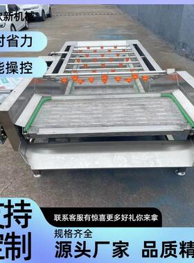 全自动果蔬气泡清洗机大型酱腌菜荔枝清洗流水线海带脱盐清洗设备