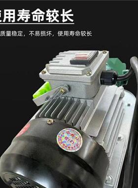 WCB便携榨油机泵电动抽油泵手提式齿轮泵大豆油不锈钢菜籽油温