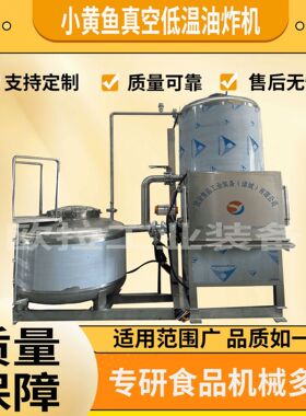 肉脯肉条油炸设备杏鲍菇低温真空油炸机果蔬脆片低温油炸设备