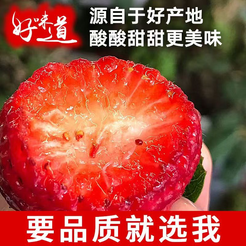 素材图