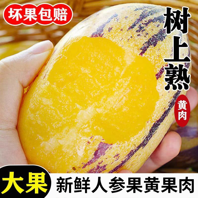 云南石林人参果10斤新鲜大果应季整箱人叁果水果七彩黄肉长果包邮,淘宝优惠券,粉丝福利购,淘宝优惠卷