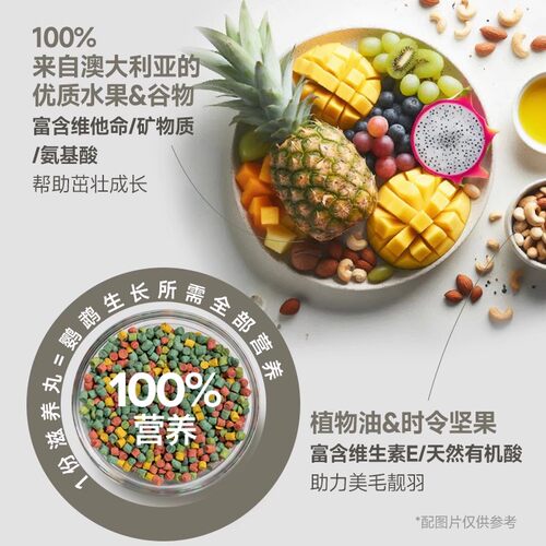 VETAFARM兽医农场澳洲进口折衷鹦鹉滋养丸鸟粮兽医农场天堂丸鸟食 - 图2