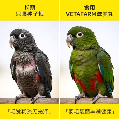 VETAFARM兽医农场澳洲进口折衷鹦鹉滋养丸鸟粮兽医农场天堂丸鸟食 - 图1