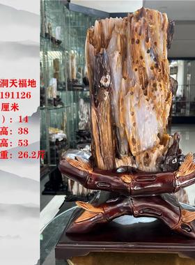 缅甸树化玉摆件木化石观赏石原石招财镇宅树化石春节乔迁送礼品