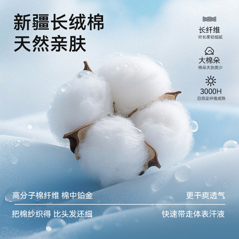 都市丽人a类纯棉内裤女7a抗菌加长底档中腰无痕不夹臀大码三角裤