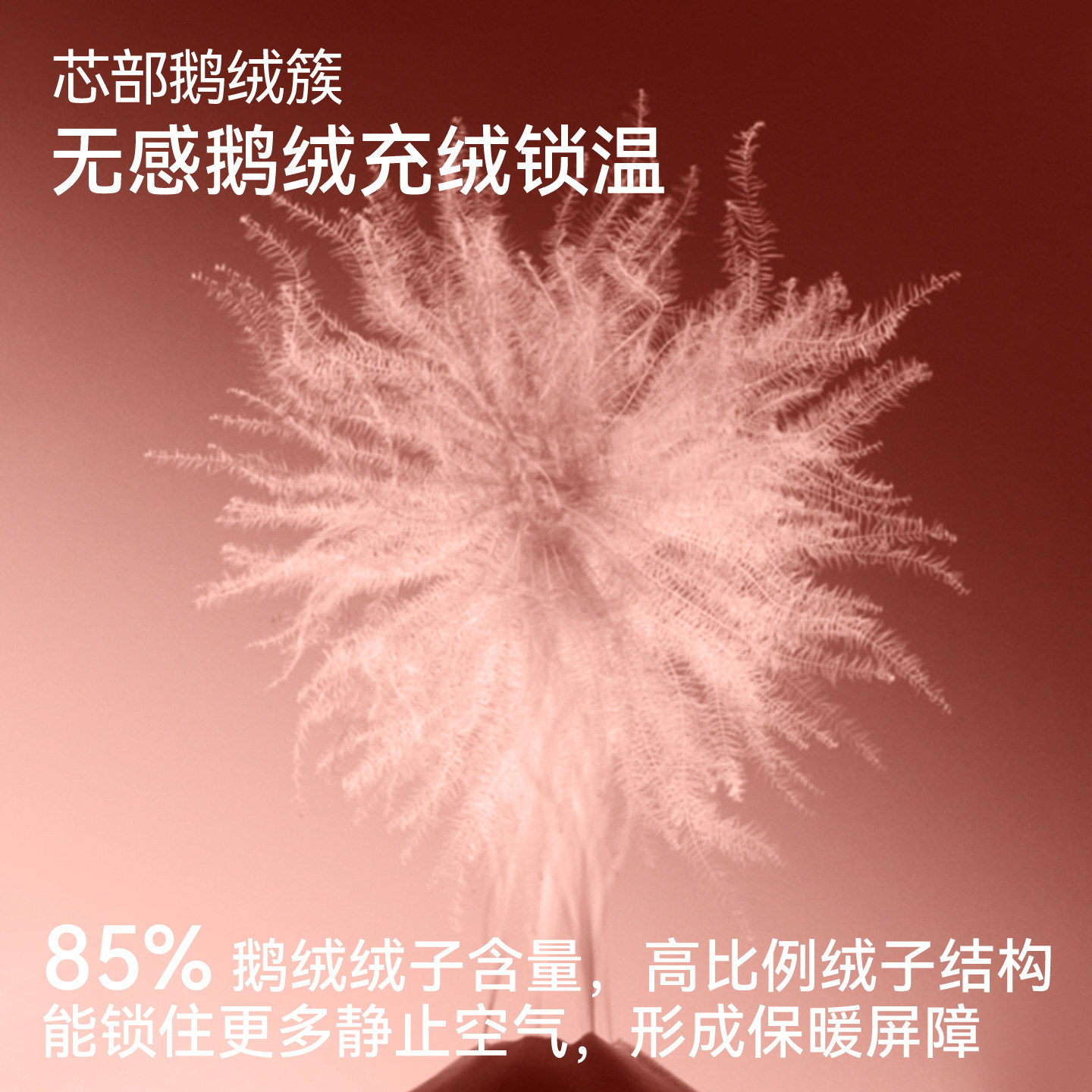 【娜扎同款】都市丽人本命年红鹅绒保暖内衣男女无痕套装马年礼盒,淘宝优惠券,粉丝福利购,淘宝优惠卷