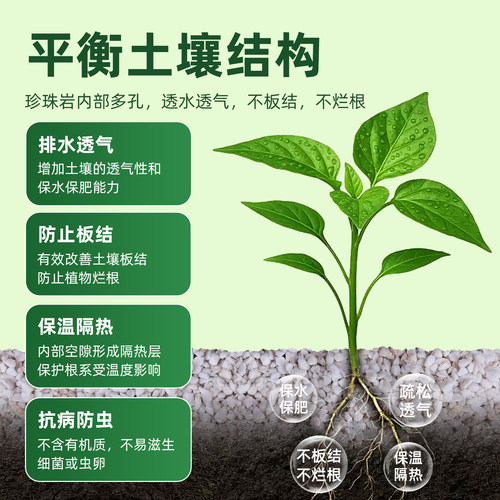 珍珠岩养花专用育苗保温种菜大颗粒硬质珍珠岩大包蛭石椰糠营养土 - 图2