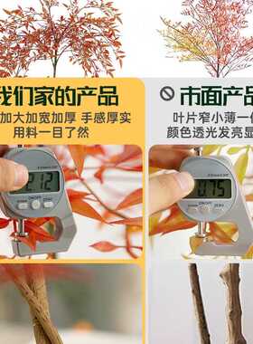 南天竹仿真绿植红色高端轻奢室内客厅大盆栽落地摆件仿生假植物