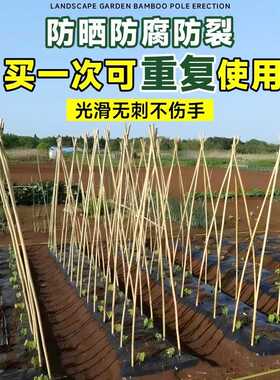 竹竿菜园搭架蔬菜黄瓜番茄豆角架杆竹篱笆栅栏小竹子细竹竿葡萄架