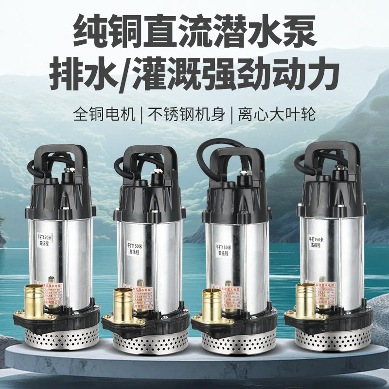 电动车专用抽水泵家用浇菜12V24V48V60V72伏纯铜电机直流潜水泵,淘宝优惠券,粉丝福利购,淘宝优惠卷
