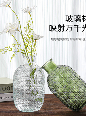 欧式玻璃花瓶创意透明花瓶鲜花干花家居客厅装饰水培花瓶摆件