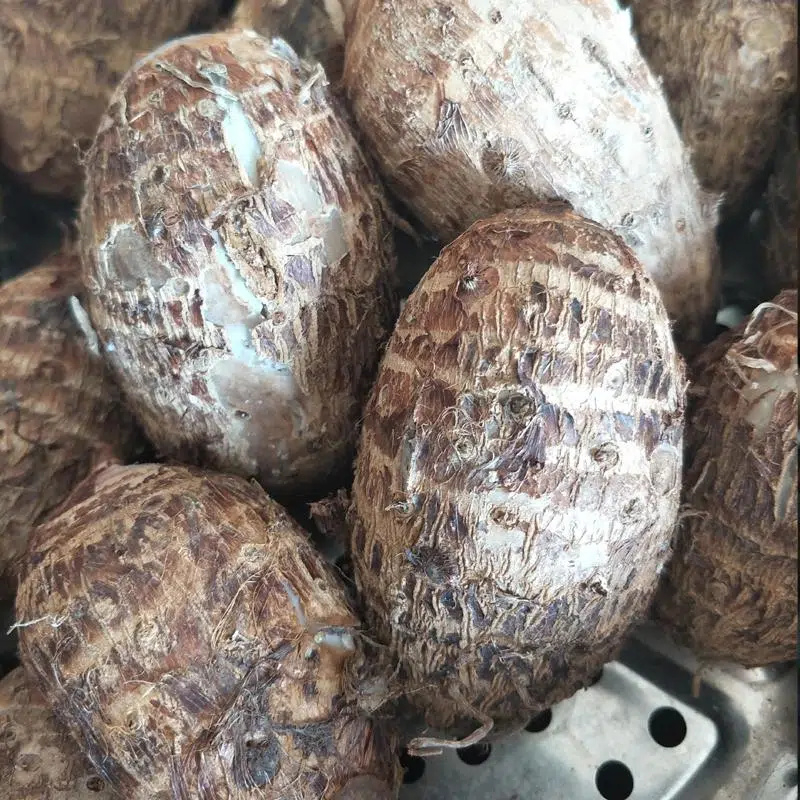 广西红芽芋头5斤新鲜毛芋艿粉糯红嘴小芋头农家现挖芋仔蔬菜香芋