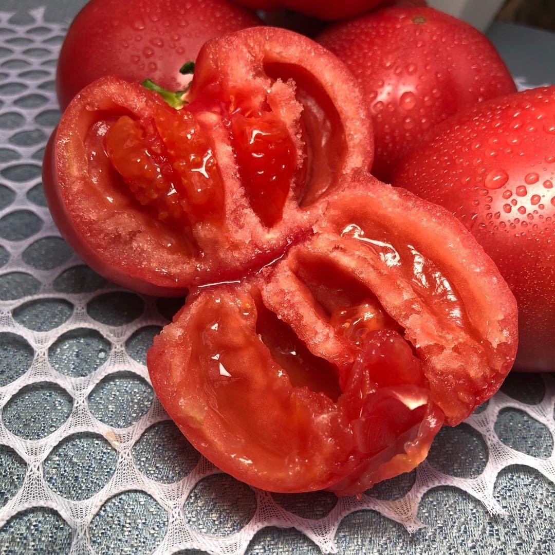 2025现摘农家正宗沙瓤番茄西红柿9斤新鲜自然熟水果普罗旺斯番茄5,淘宝优惠券,粉丝福利购,淘宝优惠卷