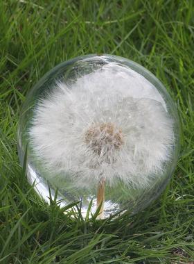 蒲公英标本水晶球摆件创意生日礼物送女朋友送给女生的精致小礼物