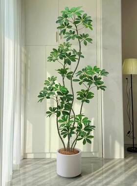 仿真绿植高端轻奢仿生鸭脚木室内客厅沙发边大型盆栽落地假植物