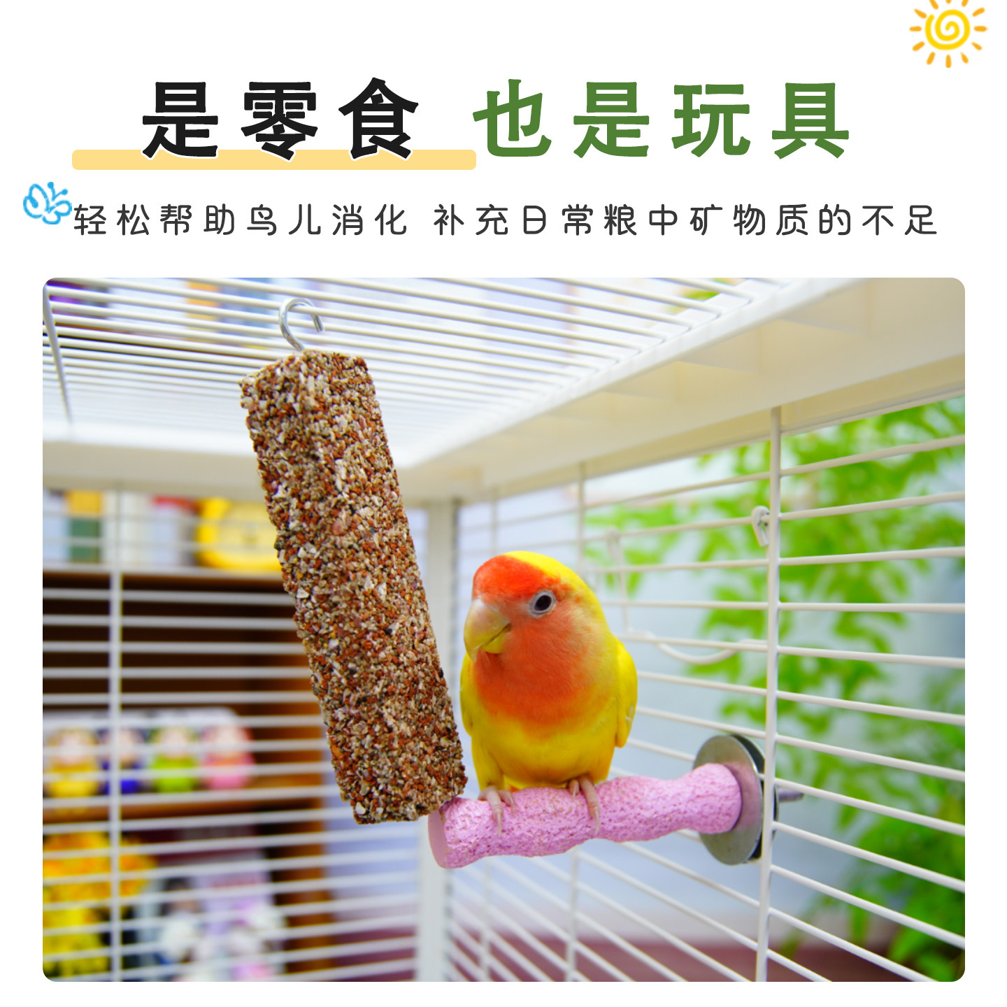 宠大条鹦鹉保健砂磨牙棒谷物棒虎皮玄凤牡丹鹦鹉矿物砂磨喙鸟零食,淘宝优惠券,粉丝福利购,淘宝优惠卷