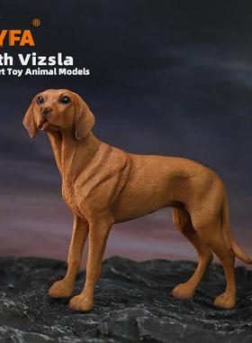 YFA模玩1/6维兹拉犬仿真狗模型维斯拉犬车载摆件维希拉猎犬Vizsla