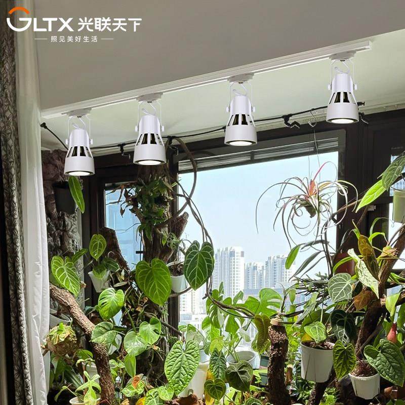 光联天下 室内植物生长30W轨道射灯LED全光谱绿植雨林景观补光灯,淘宝优惠券,粉丝福利购,淘宝优惠卷