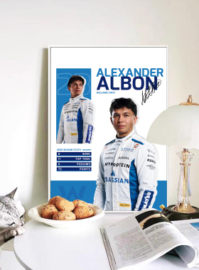 F1维斯塔潘轻奢客厅装饰画