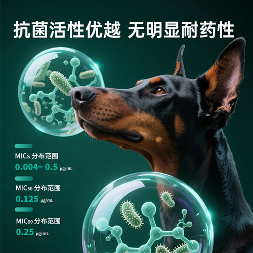 回盛宠物真菌性皮肤病专用药猫藓猫咪狗狗癣恩康唑溶液皮肤外用药 - 图2