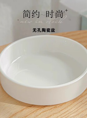 巴西木专用树脂花盆简约现代水培