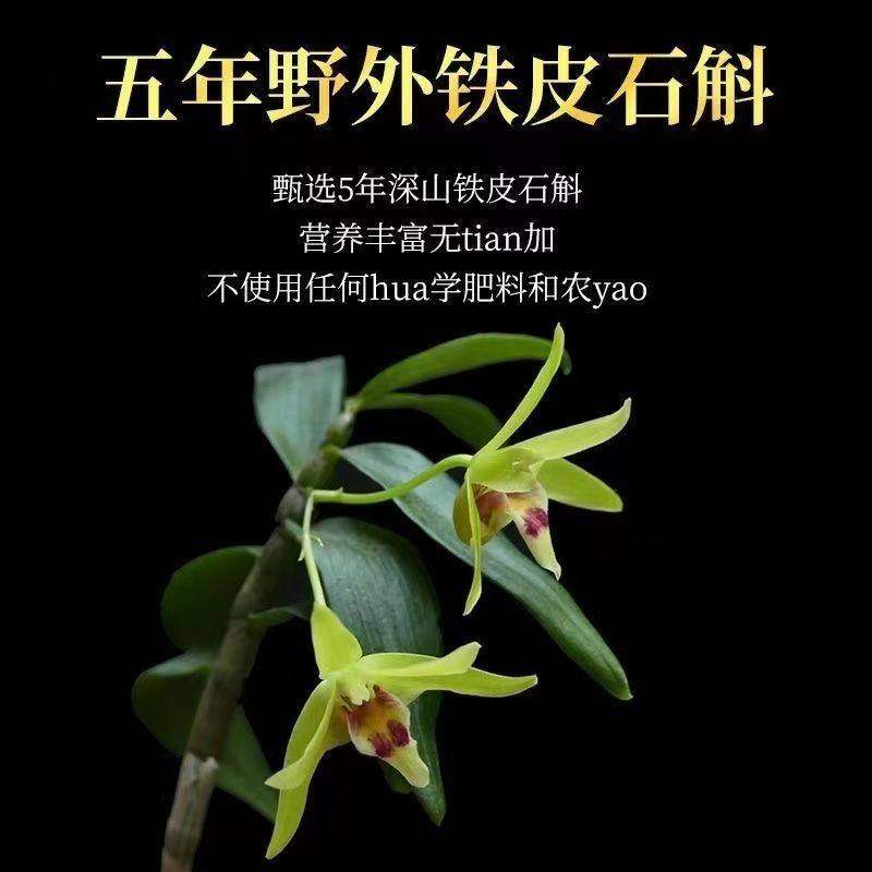 正宗铁皮石斛花干花新鲜中药材泡水喝官方旗舰店正品精选新花泡茶,淘宝优惠券,粉丝福利购,淘宝优惠卷