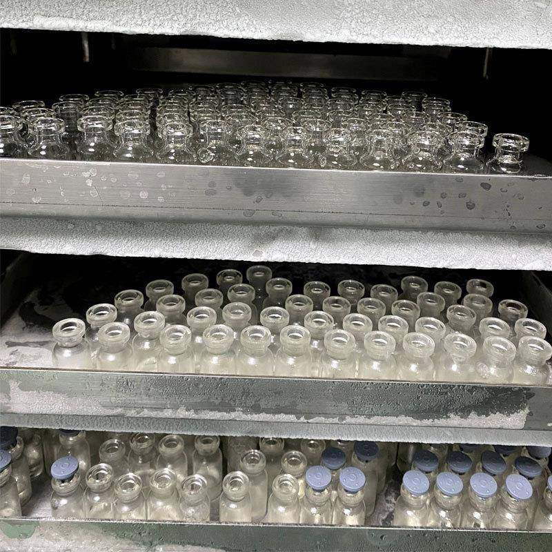 小型家用冻干机果蔬肉类燕窝糖果真空冷冻干燥机实验室用冻干粉机,淘宝优惠券,粉丝福利购,淘宝优惠卷