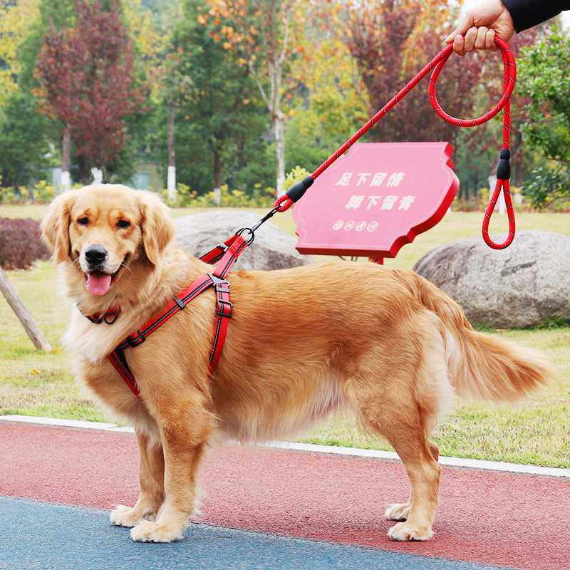 狗狗牵引绳遛狗绳子仿尼龙反光大中小型犬宠物脖套带项圈攀岩绳,淘宝优惠券,粉丝福利购,淘宝优惠卷