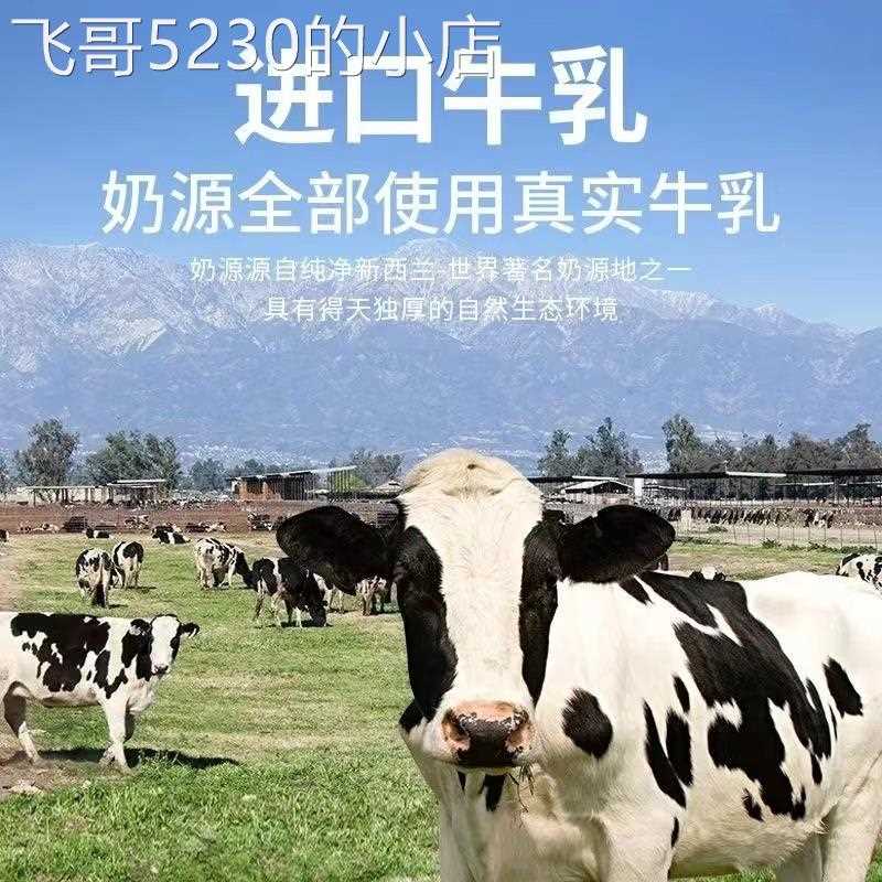 阿萨姆奶茶5瓶*500ml原味即饮奶茶饮品TJB - 图1