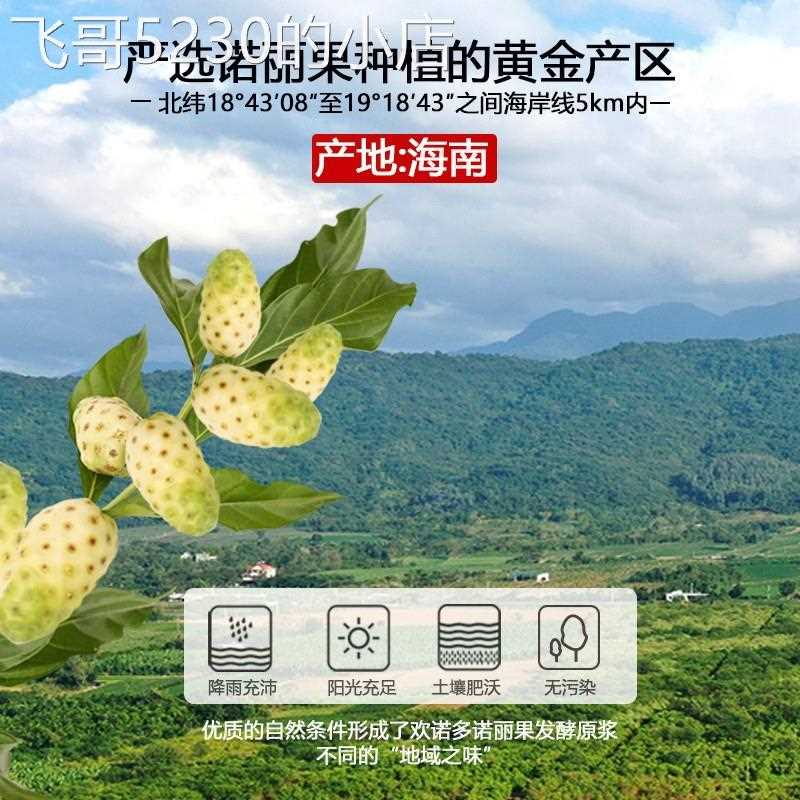 海南纯诺丽酵素果浆980ML无添加年自然发酵含果肉浓厚诺丽果原液 - 图1