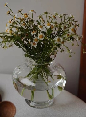 一件代发欧式简约透明玻璃花瓶摆件客厅插花家居水培鲜花干花