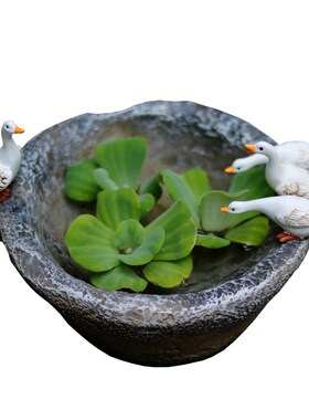 小白鸭子水培花盆一叶莲铜钱草花器庭院花园装饰摆件复Z古仿石臼