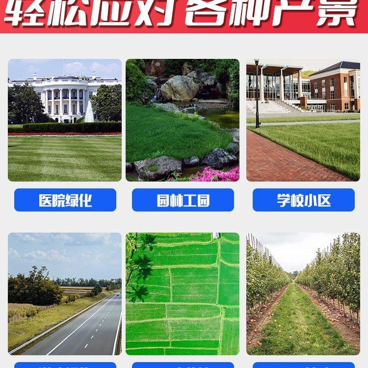 大功率汽油柴油木材树枝碎枝机葡萄藤秸杆粉碎处理器园林移动机械,淘宝优惠券,粉丝福利购,淘宝优惠卷