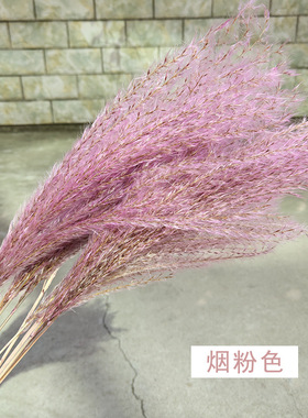 2025新款粉色婚庆自然风干花束家居装饰清新客厅小清新插花摆件