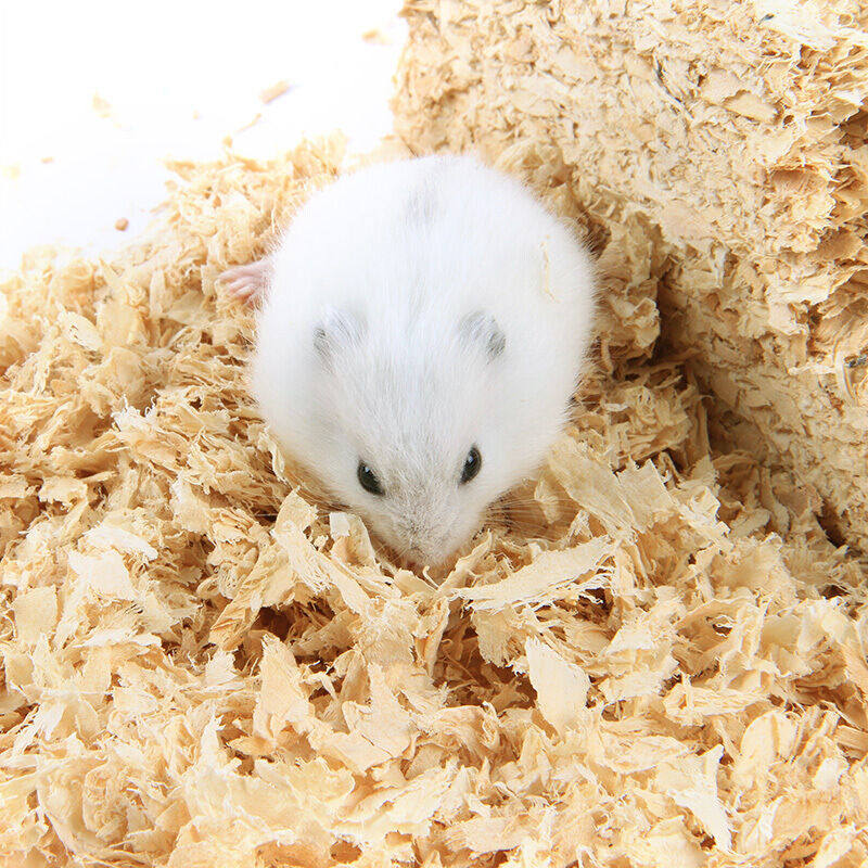 2026新款宠物仓鼠兔用吸水保暖刨花木屑垫料冬季专用小宠用品,淘宝优惠券,粉丝福利购,淘宝优惠卷