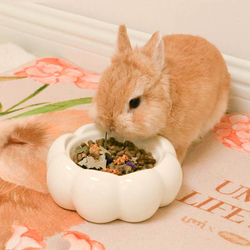 UMI兔兔食盆花朵碗大容量陶瓷ins风兔子碗食盆细腻防割伤食物盆,淘宝优惠券,粉丝福利购,淘宝优惠卷