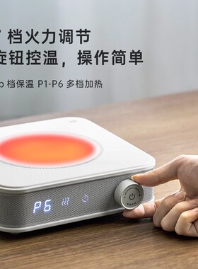 日本正负零耐高温玻璃煮茶壶套装加厚玻璃煮茶器家用烧水电陶炉
